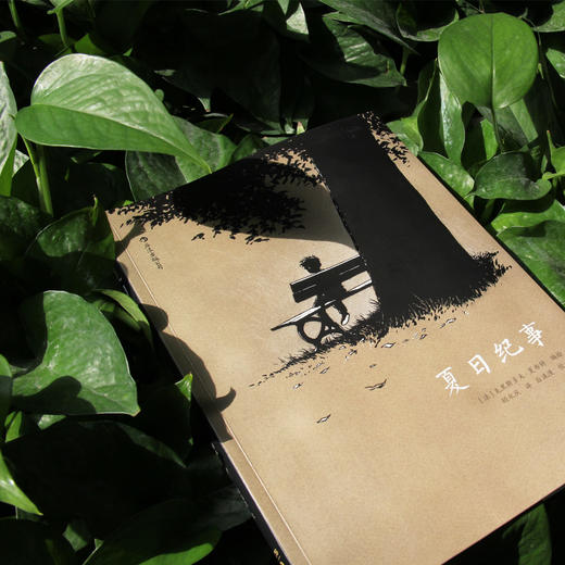 夏日纪事（夏布特继《灯塔》之后又一部敏感而忧伤的图像小说 用黑白两色的慢镜头讲述童年的烦恼、成长的孤独 给浮躁焦虑的现代人带来内心的宁静和抚慰  安古兰国际漫画节“阿尔法艺术大奖”） 商品图1