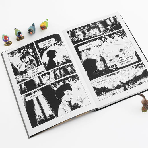 夏日纪事（夏布特继《灯塔》之后又一部敏感而忧伤的图像小说 用黑白两色的慢镜头讲述童年的烦恼、成长的孤独 给浮躁焦虑的现代人带来内心的宁静和抚慰  安古兰国际漫画节“阿尔法艺术大奖”） 商品图2