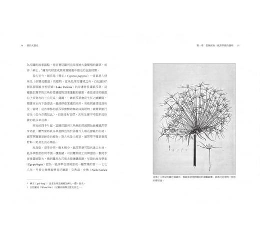 【中商原版】书的大历史：横跨欧亚大陆，历经六千年，认识推动人类历史的知识载具 港台原版 凯斯.休斯顿 Keith Houston 麦田 商品图1