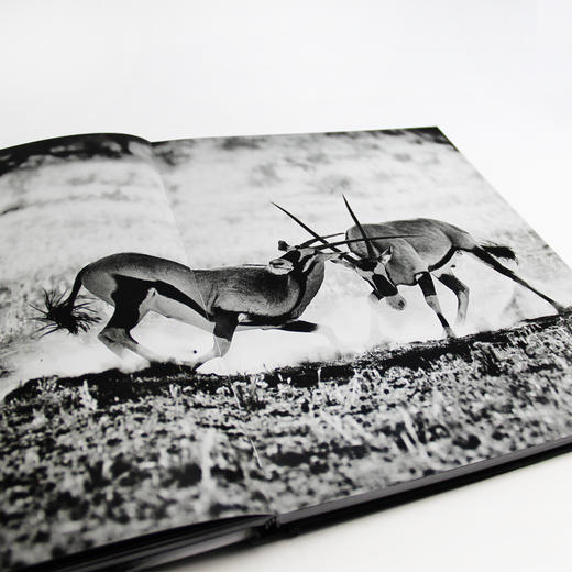 自然的影调   动物摄影大师范登伯格突破摄影界限之作-分销 商品图2