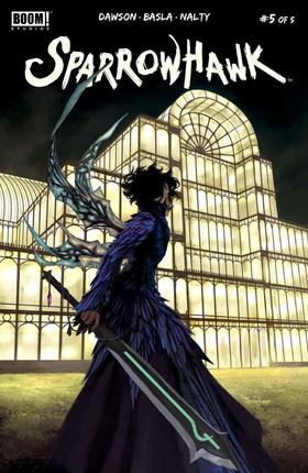 雀鹰 Sparrowhawk（2018）