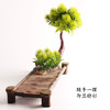 造景大师系列—唯美【逢春】 随手一放即可绽放唯美！ 商品缩略图2