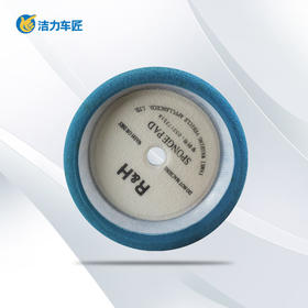 RH 抛光盘 8寸