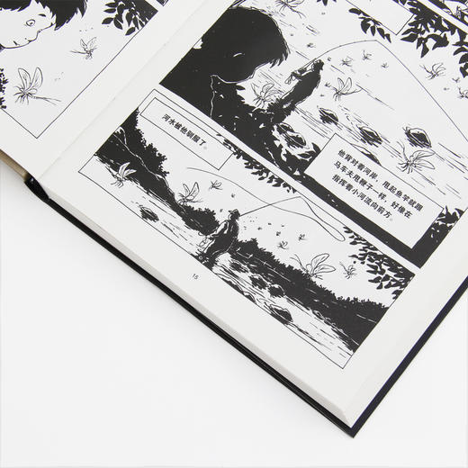 夏日纪事（夏布特继《灯塔》之后又一部敏感而忧伤的图像小说 用黑白两色的慢镜头讲述童年的烦恼、成长的孤独 给浮躁焦虑的现代人带来内心的宁静和抚慰  安古兰国际漫画节“阿尔法艺术大奖”） 商品图3