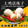 13天新鲜活珠子鸡胚蛋凤凰喜蛋非毛鸡蛋4-40枚 商品缩略图2