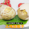 13天新鲜活珠子鸡胚蛋凤凰喜蛋非毛鸡蛋4-40枚 商品缩略图6