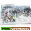 娃娃龙原创图画书 彭懿暖心幻想图画书:山楂村和狗獾村 商品缩略图4