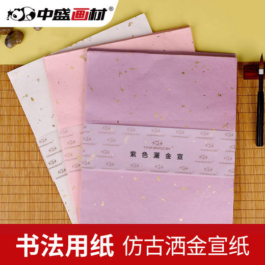 安徽泾县仿古洒金宣纸粉彩宣纸五色描金半生半熟国画展书法专用纸 商品图0