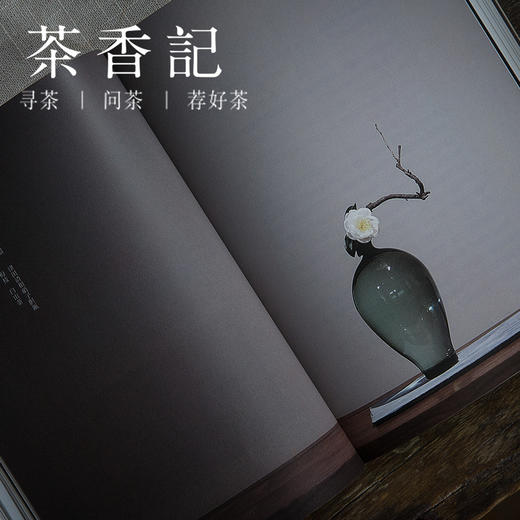 茶香记 《瓶花六讲》（中国传统插花史略谈） 徐文治著 九州出版社 传统生活美学 商品图4