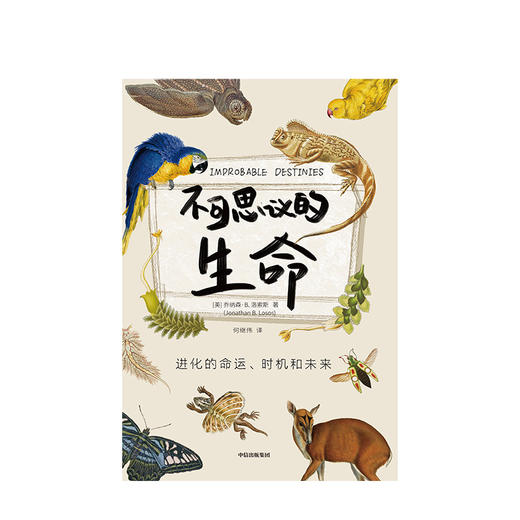不可思议的生命 进化的命运 时机和未来 乔纳森B洛索斯 著 生命进化 中信出版社图书 正版书籍 商品图2
