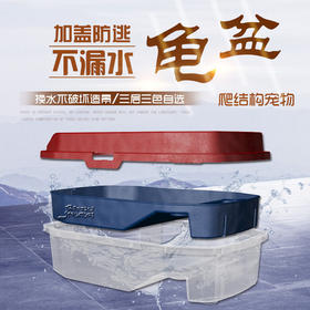 爬结构防逃龟盒晒台饲养缸小乌龟箱半水龟透明饲育盆巴西龟苗别墅-分销