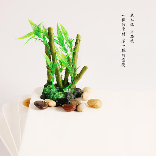 造景大师系列—唯美【劲竹】 随手一放即可绽放唯美！ 商品图3