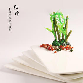 造景大师系列—唯美【劲竹】 随手一放即可绽放唯美！