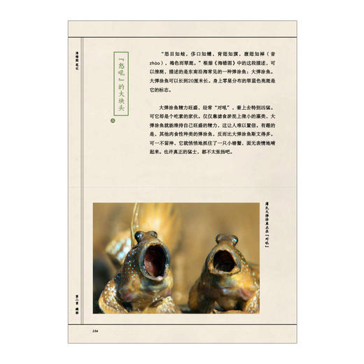 海错图笔记 张辰亮 著 解读故宫藏品《海错图》中的生物密码 中信出版社图书 正版书籍 商品图6