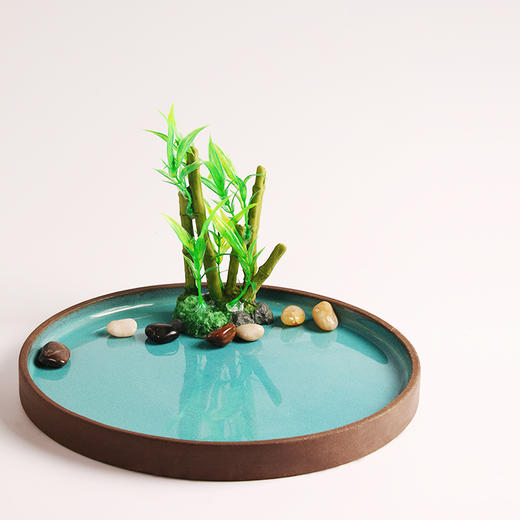 造景大师系列—唯美【劲竹】 随手一放即可绽放唯美！ 商品图2