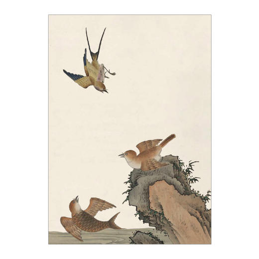 海错图笔记 张辰亮 著 解读故宫藏品《海错图》中的生物密码 中信出版社图书 正版书籍 商品图9