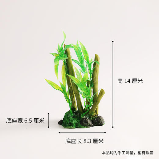 造景大师系列—唯美【劲竹】 随手一放即可绽放唯美！ 商品图4