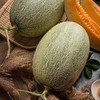 脆甜西州蜜瓜——皮薄肉厚，鲜甜多汁 商品缩略图4