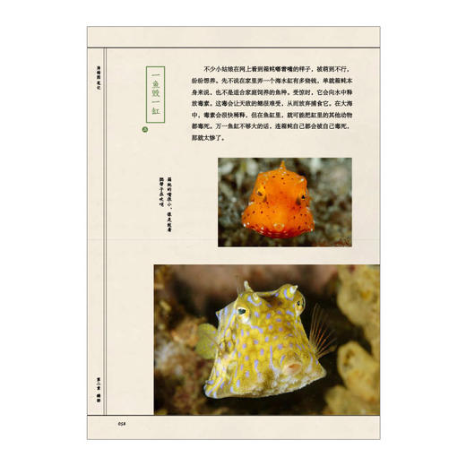 海错图笔记 张辰亮 著 解读故宫藏品《海错图》中的生物密码 中信出版社图书 正版书籍 商品图5