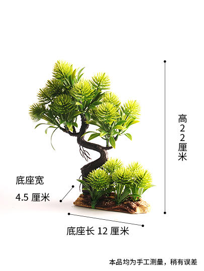 造景大师系列—唯美【绒松】 随手一放即可绽放唯美！ 商品图4