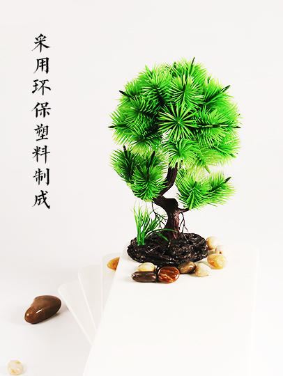 造景大师系列—唯美【罗汉松】 随手一放即可绽放唯美！ 商品图2