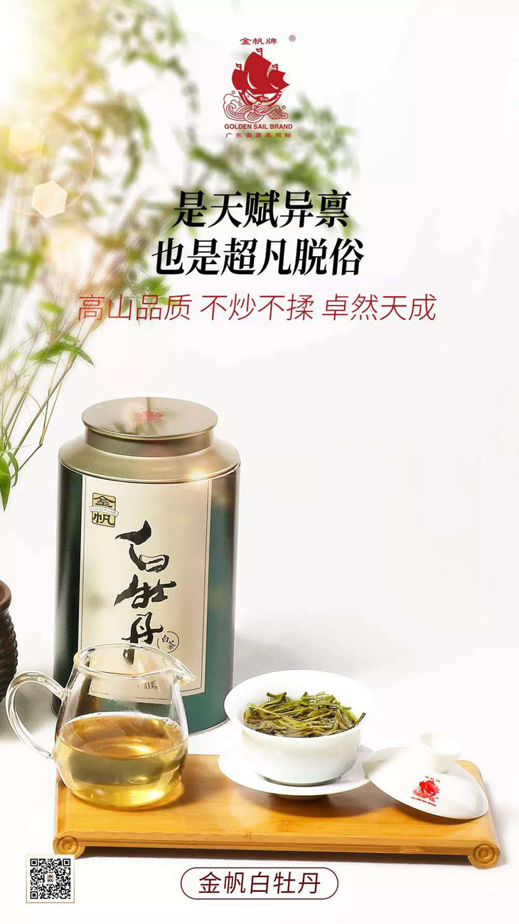 金帆茶叶2020白牡丹云南白茶125克散茶