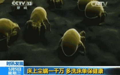 图大帅打包一口价