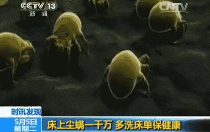 图大帅打包一口价 商品图0