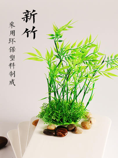 造景大师系列—唯美【新竹】 随手一放即可绽放唯美！ 商品图0