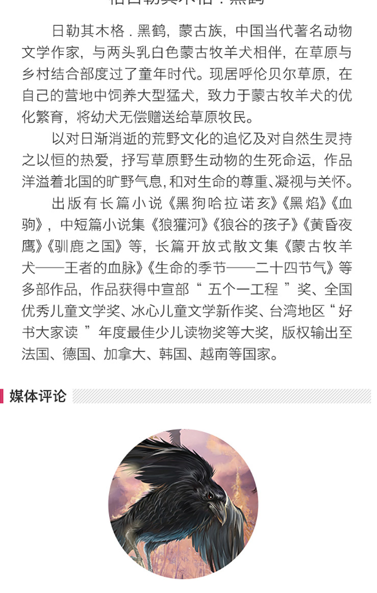 黑鹤动物小说拼音彩绘系列-详情页_20180314_04.jpg