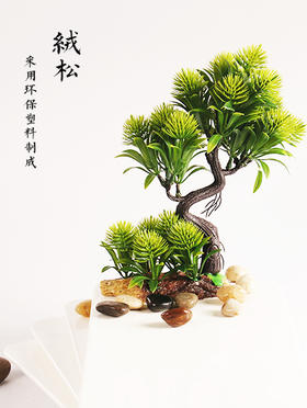 造景大师系列—唯美【绒松】 随手一放即可绽放唯美！