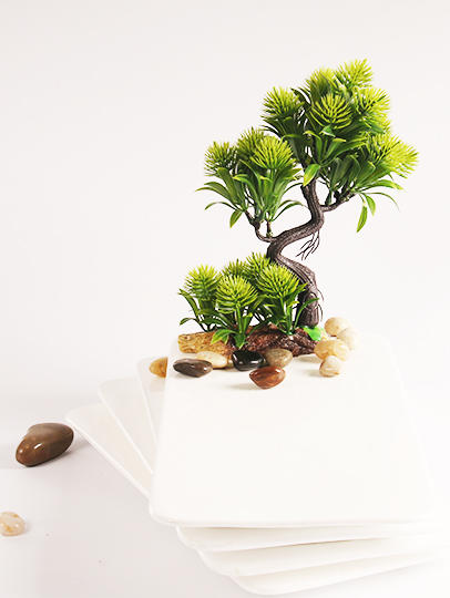 造景大师系列—唯美【绒松】 随手一放即可绽放唯美！ 商品图3