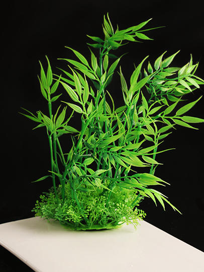 造景大师系列—唯美【新竹】 随手一放即可绽放唯美！ 商品图3