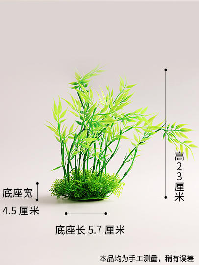 造景大师系列—唯美【新竹】 随手一放即可绽放唯美！ 商品图4