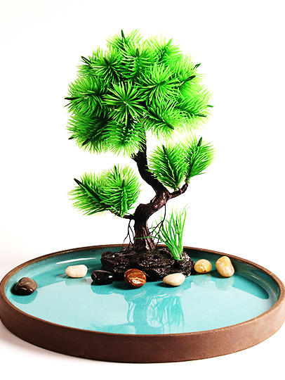 造景大师系列—唯美【罗汉松】 随手一放即可绽放唯美！ 商品图3