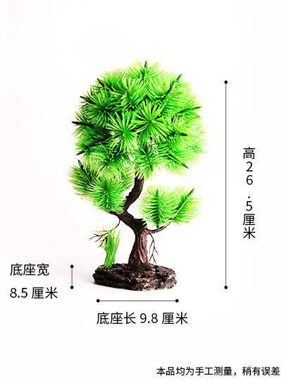 造景大师系列—唯美【罗汉松】 随手一放即可绽放唯美！ 商品图4