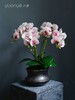 蝴蝶兰假花仿真花客厅装饰摆设高档白色盆景黄色绢花室内欧式摆件 商品缩略图0