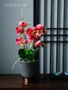 蝴蝶兰假花仿真花客厅装饰摆设高档白色盆景黄色绢花室内欧式摆件 商品缩略图2