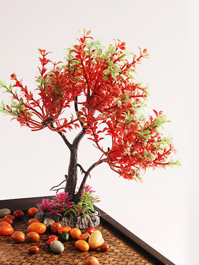 造景大师系列—唯美【迎春树】 随手一放即可绽放唯美！ 商品图5