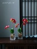 蝴蝶兰假花仿真花客厅装饰摆设高档白色盆景黄色绢花室内欧式摆件 商品缩略图4