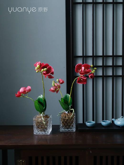 蝴蝶兰假花仿真花客厅装饰摆设高档白色盆景黄色绢花室内欧式摆件 商品图4