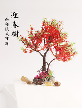 造景大师系列—唯美【迎春树】 随手一放即可绽放唯美！