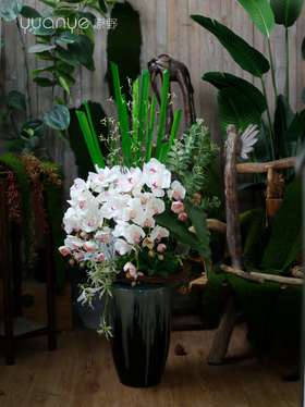 蝴蝶兰假花仿真花客厅落地轻奢大型田园风高档品质装饰花带大花瓶