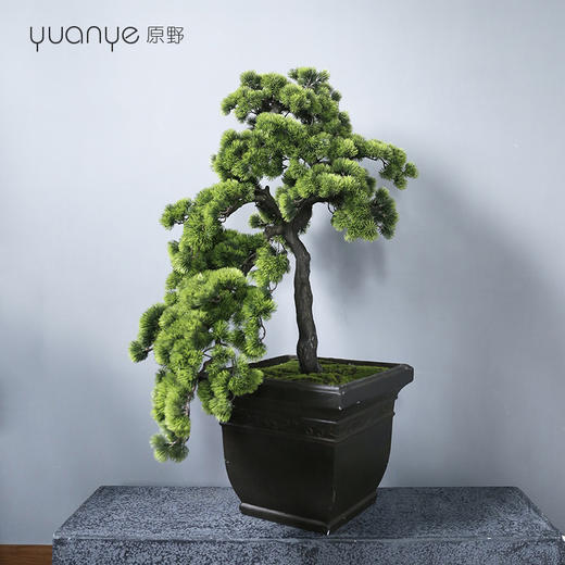新中式禅意仿真迎客松盆景大型摆件假树枝绿植罗汉松植物室内装饰 商品图0