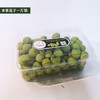 佛冈荷花小镇 新鲜莲子 水果莲子 清热解毒荷叶茶 商品缩略图2