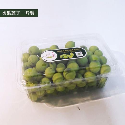 佛冈荷花小镇 新鲜莲子 水果莲子 清热解毒荷叶茶 商品图2