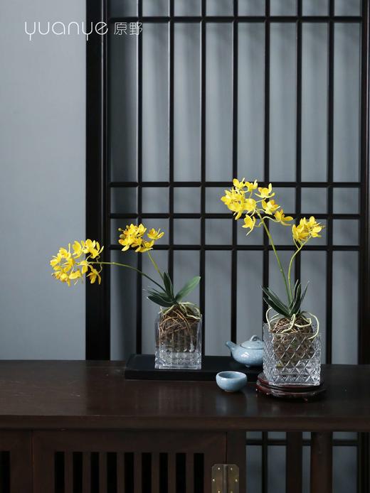 蝴蝶兰假花仿真花客厅装饰摆设高档白色盆景黄色绢花室内欧式摆件 商品图3