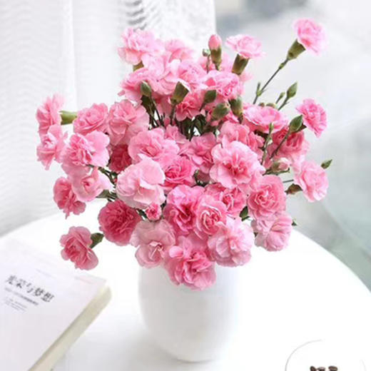 呼啸鲜花团 | 康乃馨 10枝/束 插花期7-10天 商品图3