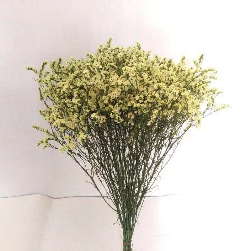 呼啸鲜花团 | 水晶草 300G/束 插花期5-7天