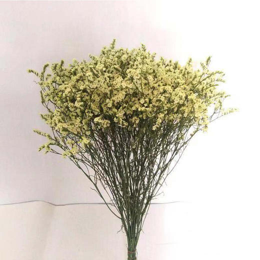 呼啸鲜花团 | 水晶草 300G/束 插花期5-7天 商品图0